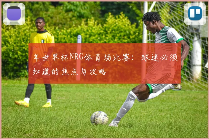 年世界杯NRG体育场比赛：球迷必须知道的焦点与攻略